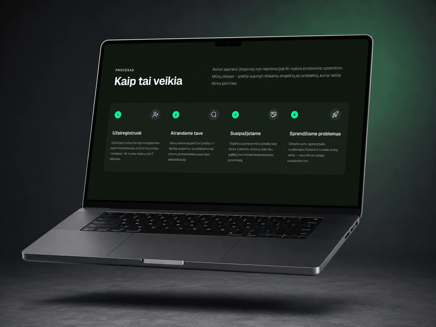 noriuproblemu projekto ekrano vaizdas 2