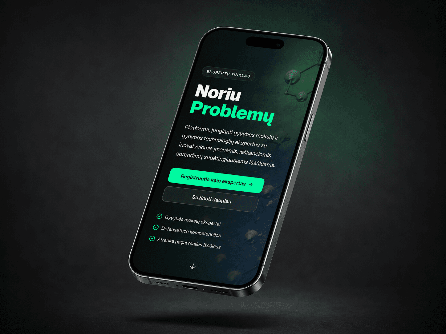 noriuproblemu projekto ekrano vaizdas 1