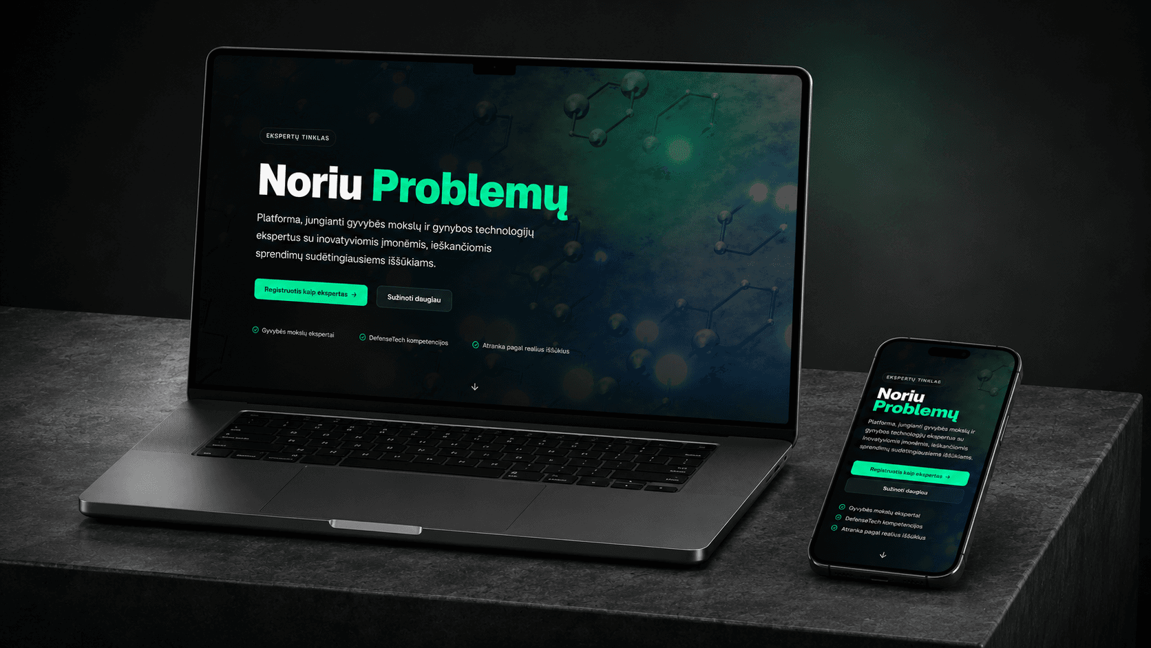 noriuproblemu projekto pagrindinis svetainės vaizdas